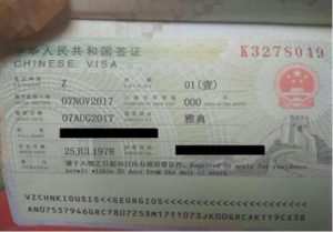 z visa application